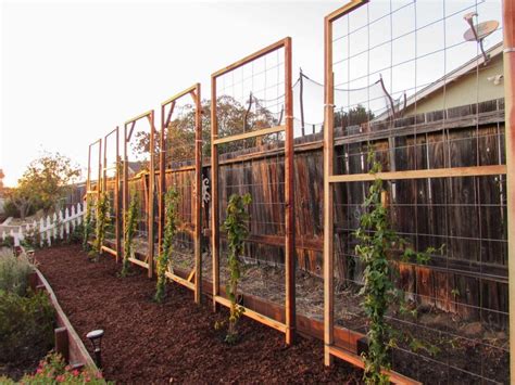 How To Build A Trellis Inexpensive And Easy Designs ~ Homestead And Chill