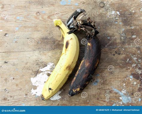 Rotten Banana With Healthy One Stock Image Image Of Eating Banana