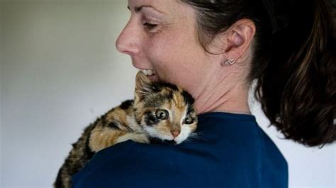 Stowaway Kitten Gets First Class Treatment On Offshore Oil Rig Cat Vet Cat Stories Cat
