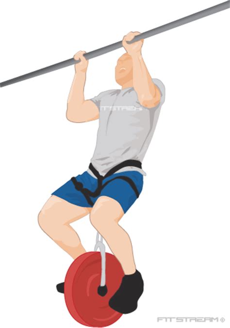 Pull Up Exercise Guide Progression Exercises Hints And