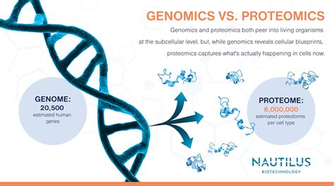 Genomics Vs Proteomics Two Complementary Perspectives On Life