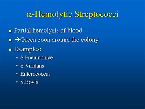 Ppt Hemolytic Streptococci Powerpoint Presentation Free Download