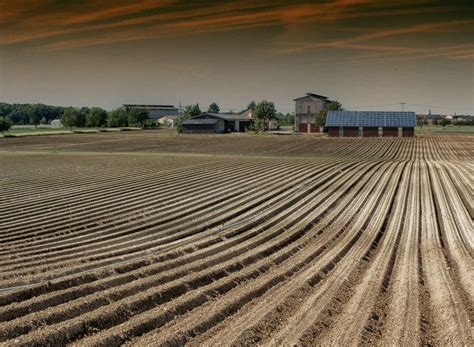 Membuat gubuk sawah, tempat istirahat di sawah perlukah ! 7 Cara Mengelola Pengairan Sawah Saat Kekeringan | Pak ...
