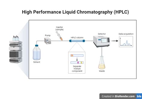High Performance Liquid Chromatography Hplc • Microbe Online