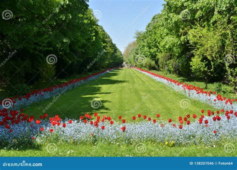 Green Alley With Flowers In Park Stock Photo Image Of Green Park