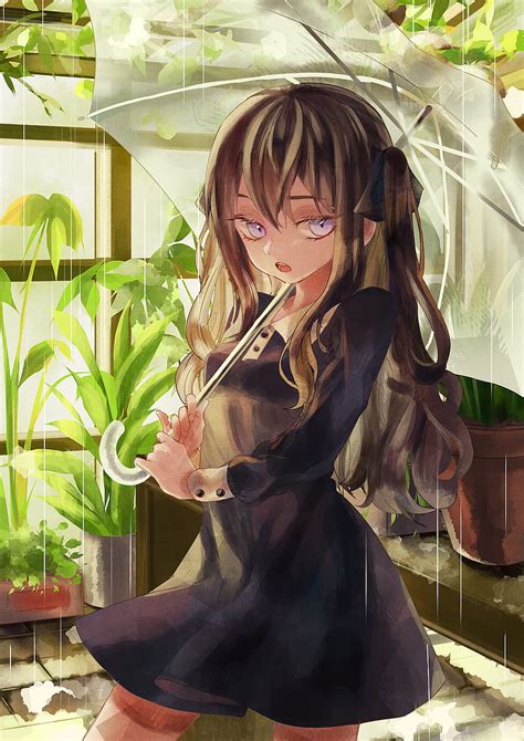 Anime Anime Girls Rain Original Characters Umbrella Plants Hd