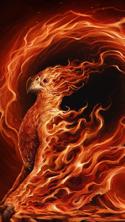 Phoenix Illustration Phoenix Illustration Bird Fire Background