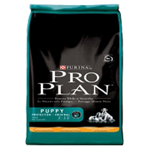 Try this tasty food, made with salmon and rice. Purina Pro Plan Puppy Food