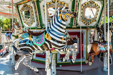 Zebra On A Carousel Photograph By Bj Clayden Fine Art America
