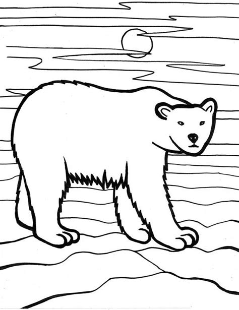 Hungry Polar Bear Hunt In The Night In Arctic Animals Coloring Page