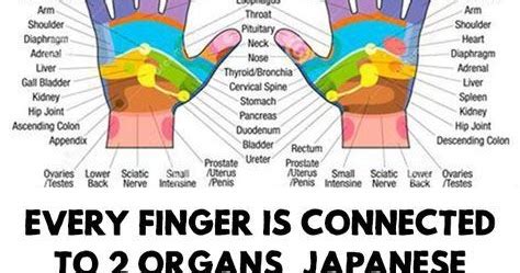 Every Finger Is Connected With Organs Japanese Methods For Curing In