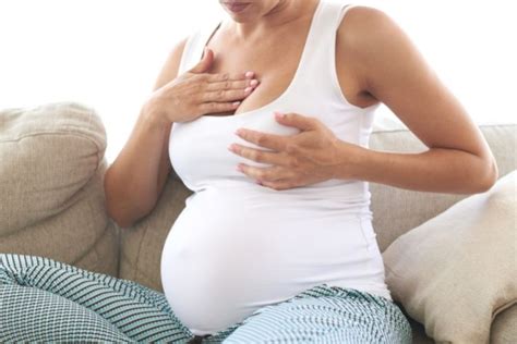 Breast Tenderness During Pregnancy Sanosan