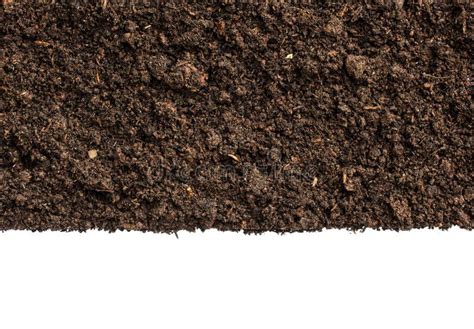 Dark Soil On White Backgroundtop View Of A Soil Stock Photo Image Of