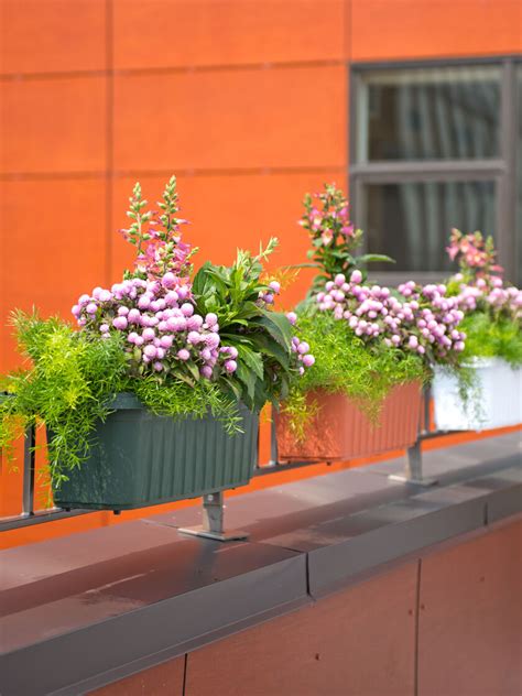 Thisdeck rail planter collection by bloem: Railing Planters 24" - Accommodate 1" to 4.25" Thick Deck Railings