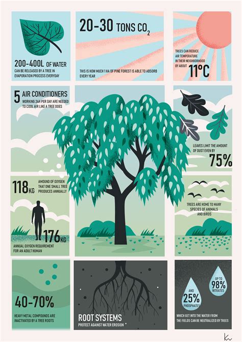 Trees Infographicdesigninspiration Infographic About Trees Made To