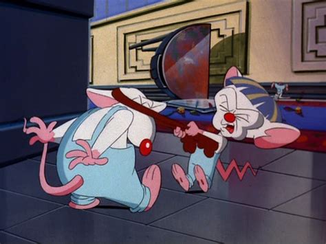 We include products we think are useful for our readers. Pinky and the Brain... and Larry (1997) - The Internet ...