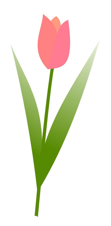 Cricut Silhouette Tulips Color And Silhouette Svg Tulips Svg Flower Svg