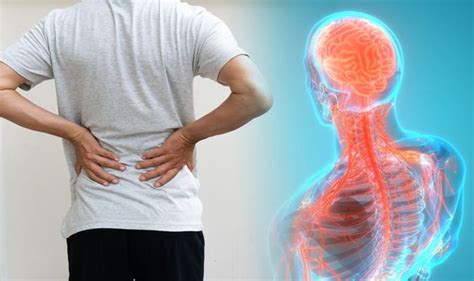 Back Pain When Your Back Pain Could Be A Sign Of Spinal Cancer