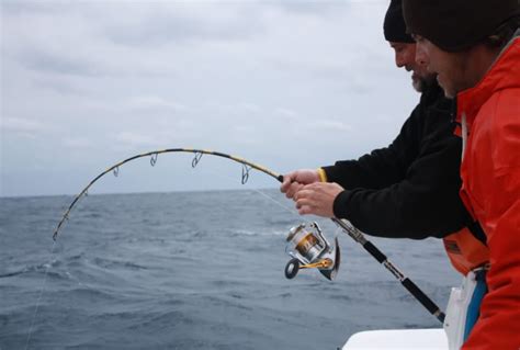 Spinning And Jigging Rod Fishing Tip