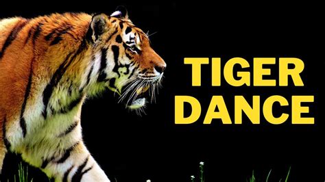 Tiger Dance Cartoon Tiger Dance On Music Youtube