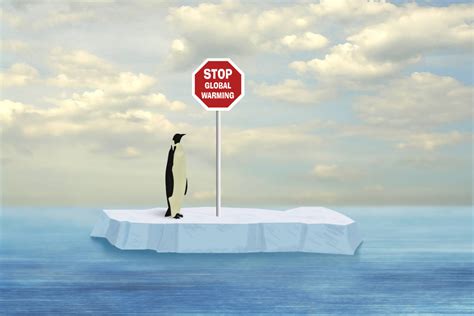 Exploring how climate change could impact species around the world. Unexpectedly Bizarre Effects of Global Warming on Animals ...