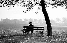 bench sitting loneliness man age old tree quotes under killing photography gave gatsby goosebumps times great fool beautiful girl fitzgerald