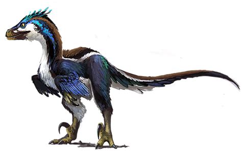 Anyone Else Bothered That The Velociraptor Animal Companion Is Not