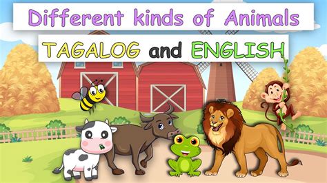 English Tagalog Names Of Animals Different Names Of Animals English