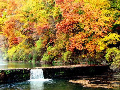 12 Arkansas Forests You Need To Explore In The Fall
