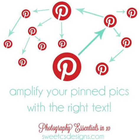 Photo Essentials In 10 Pinnable Text ⋆ Sweet Cs Designs