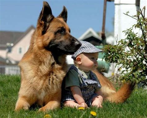 These 12 Photos Perfectly Capture The Bond Between Dogs And Children