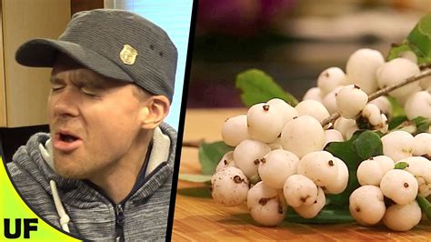Snowberry Taste Test Unusual Foods Youtube