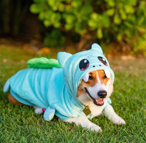Bulbasaur Dog Costume Pokémon Outfit For Pets Anime Dog Etsy