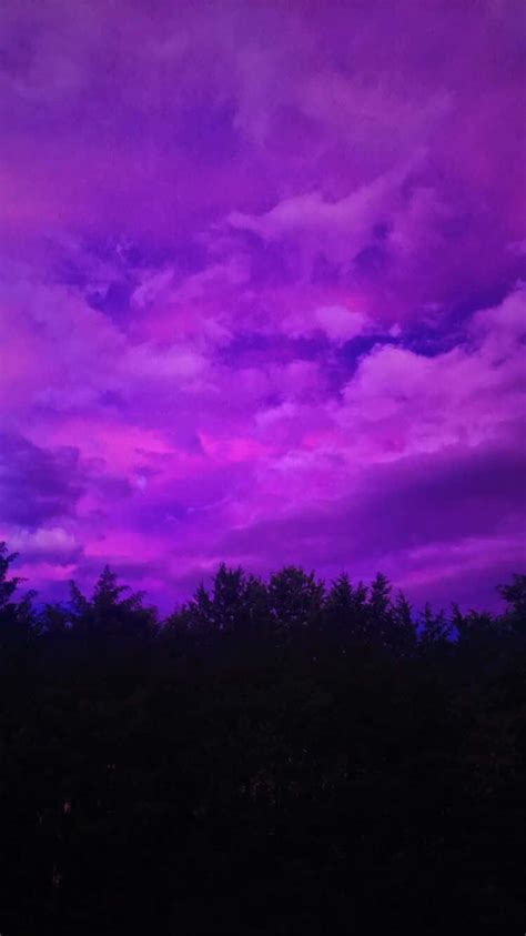 Download Purple Aesthetic Cloudy Sky Above Forest Picture