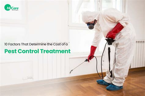 Top 10 Factors to Decide Pest Control Cost | HiCare