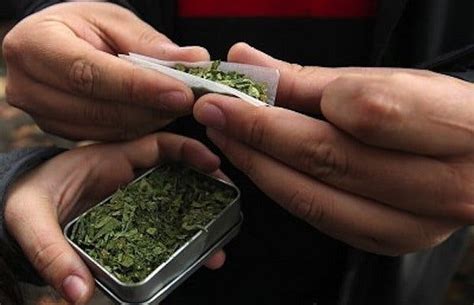 hoy digital uruguay abre registro para comprar marihuana