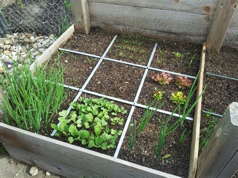 1st Sqare Foot Garden Square Foot Gardening Go Outside Organic