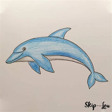 How To Draw A Dolphin An Easy Guide Skip To My Lou