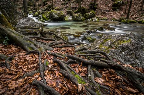 Free Images Landscape Tree Nature Forest Rock Waterfall Creek