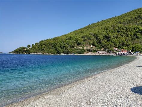 Panormos Beach Skopelos 2020 All You Need To Know Before You Go