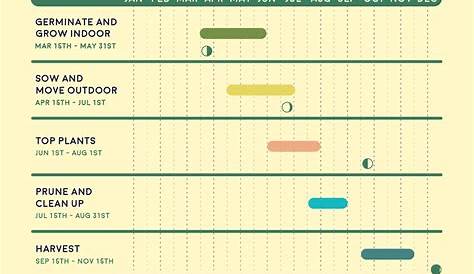 weed plant watering chart