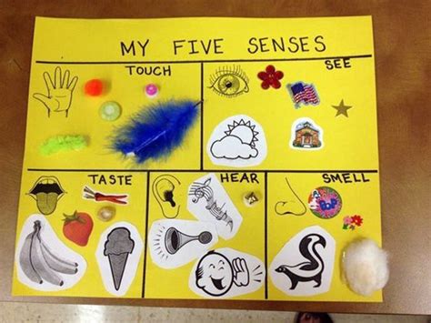 5 Senses Activity Youth First