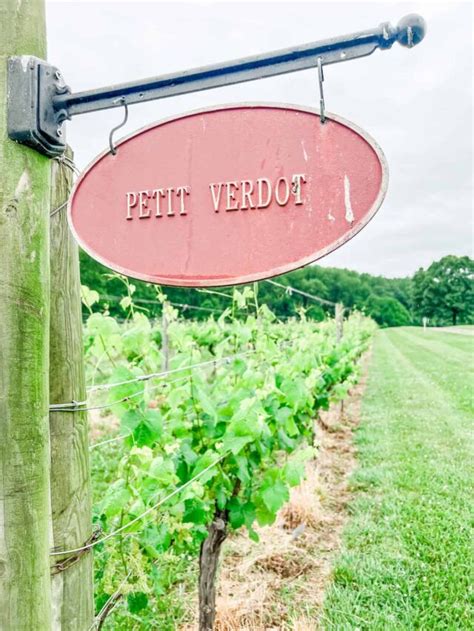 The 10 Best Wineries Near Charlottesville Va 2023 Wine Travelista