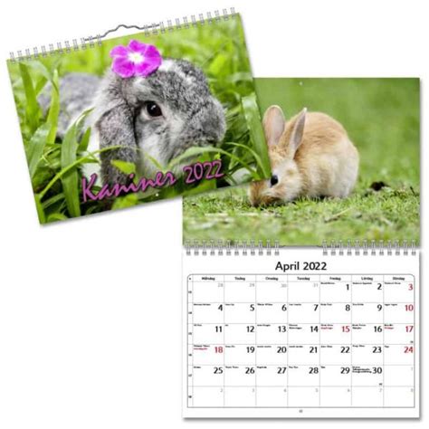Vaggkalender Kaniner Small 2022 600x600 Köp Almanacka Online