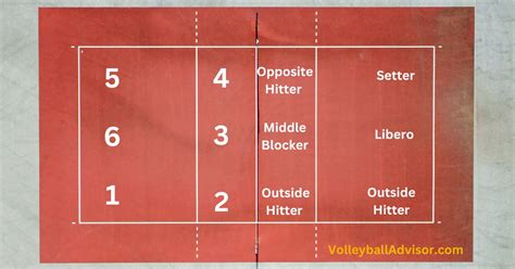 6 Volleyball Positions And Player Roles Explained