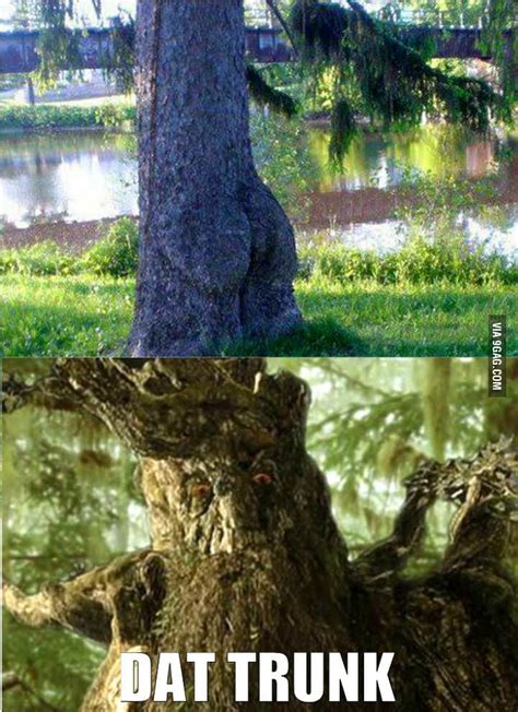 Junk In The Trunk 9gag