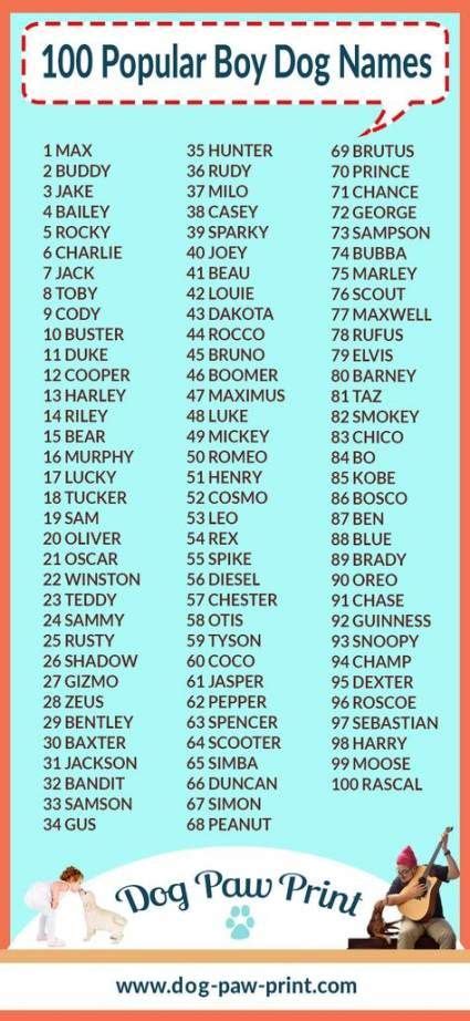 Choosing a name for your female puppy or dog requires a little inspiration and plenty of thought. Dog Names Boy Spanish