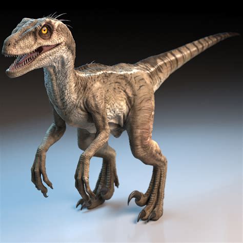 Raptor Dinosaur 3d Model