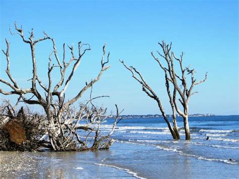 Botany Bay Plantation