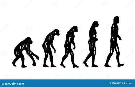 Evoluzione Di Teoria Delluomo Dalla Scimmia Alluomo Incisione D